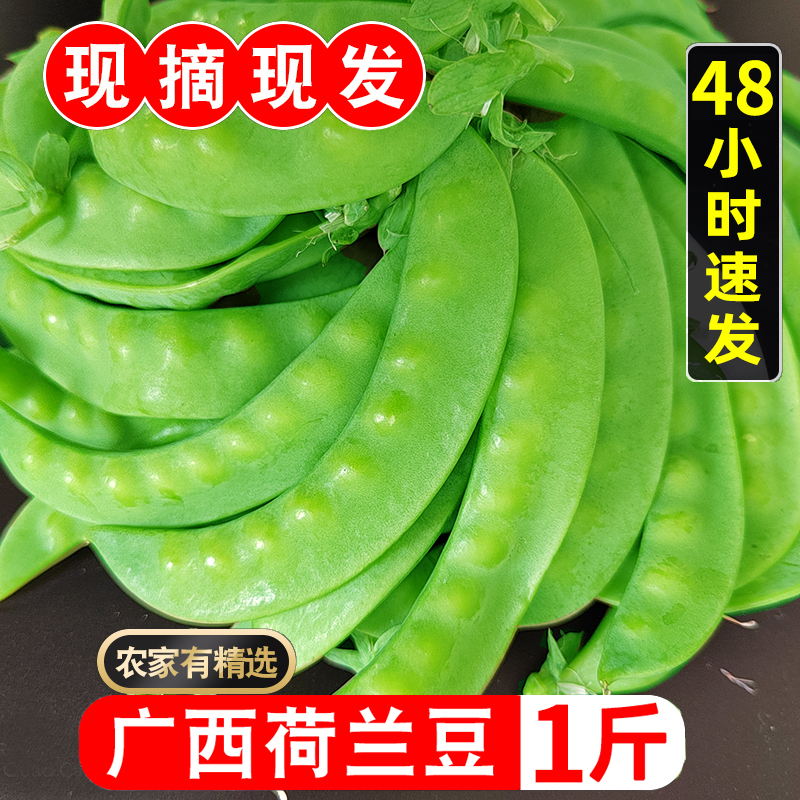 新鲜甜脆广西荷兰豆现摘现发农家自种时令蔬菜