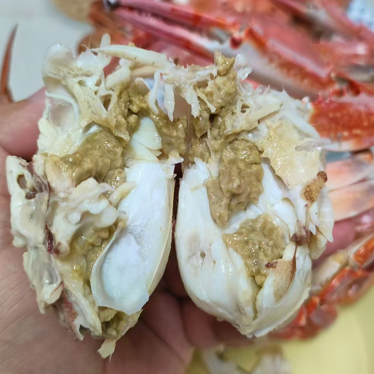 海鲜套餐 断氧福利 （保八分肥 有断臂 介意断臂的勿拍）