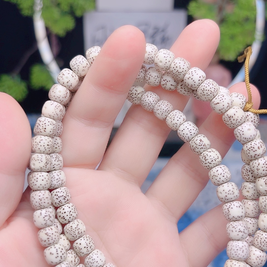 S***N把件星月菩提星月