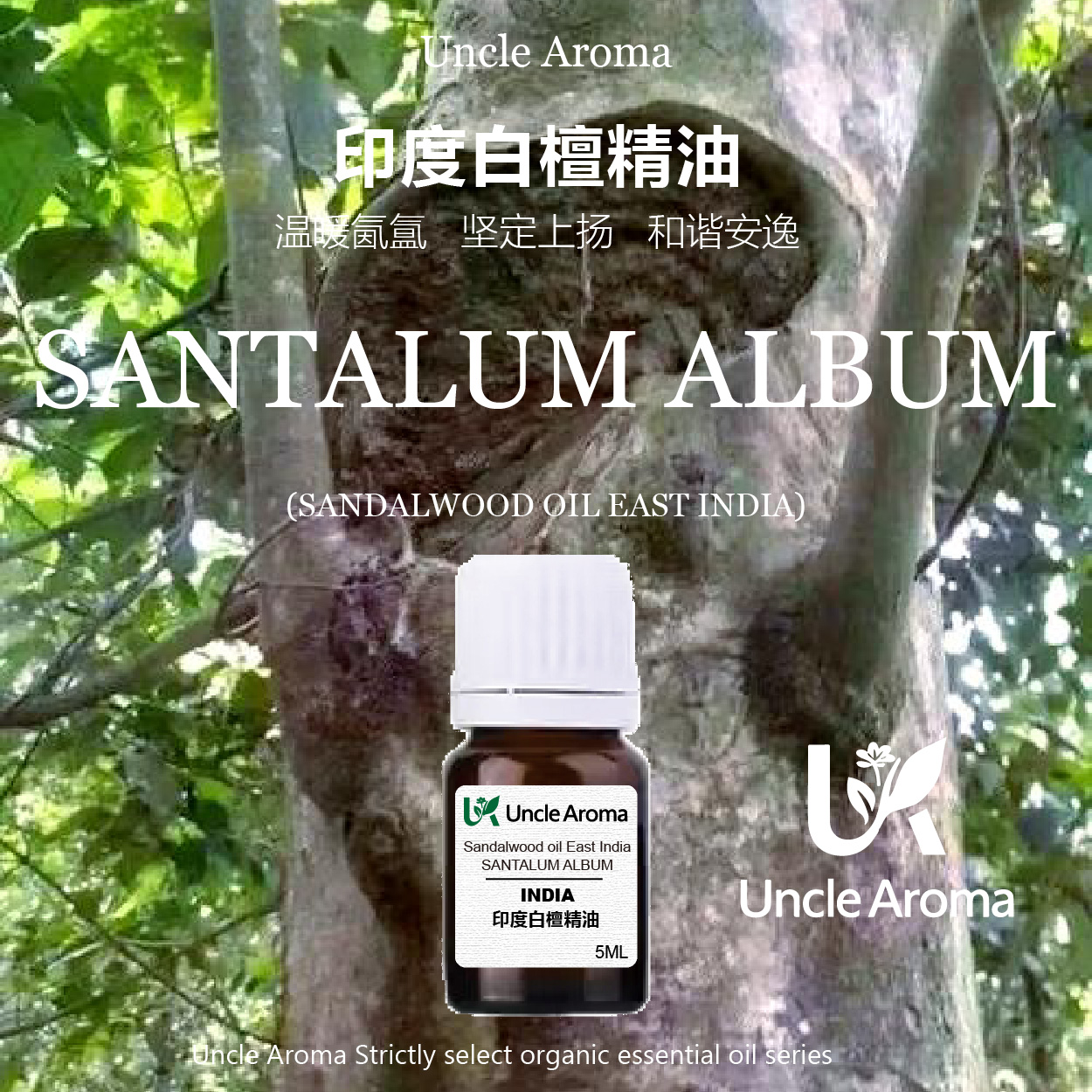印度白檀精油5ml 东印度檀香 