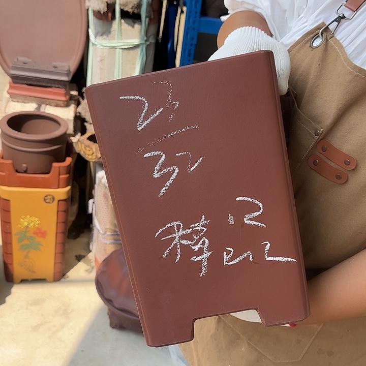 这篇小说中关于女人
