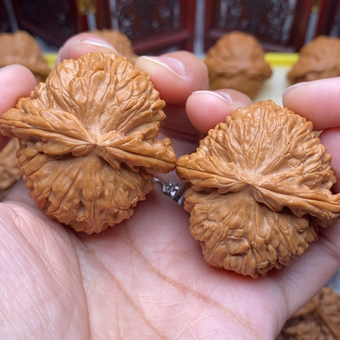 文玩核桃把件全品毕业白狮子绝配45尺