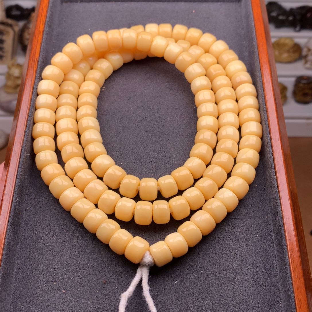 驼骨其他天天都在盘 10