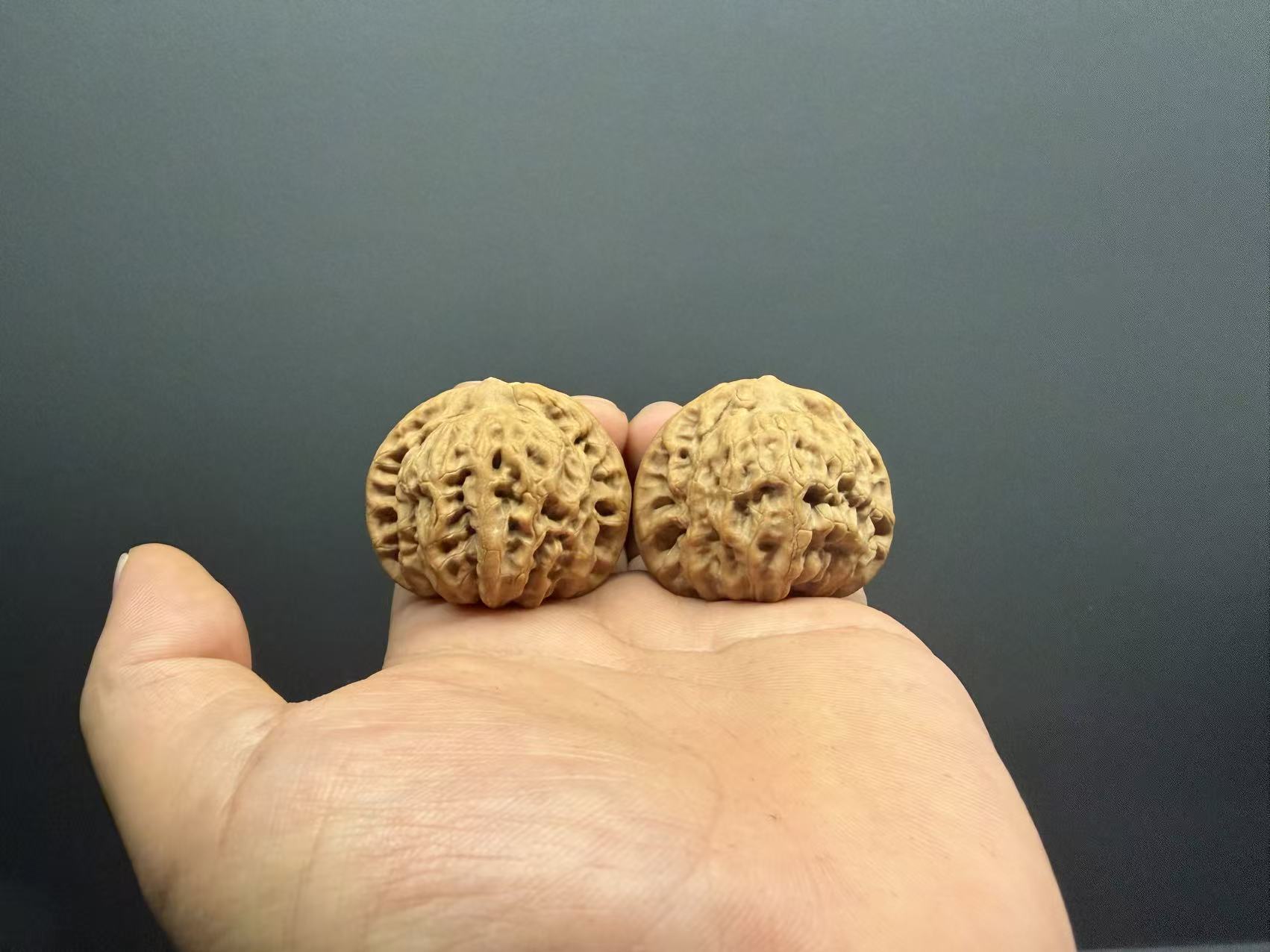 佛肚 45尺 原装 全品无修