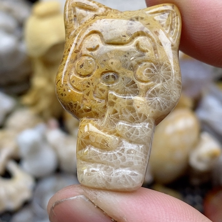 颈饰未镶嵌硅化珊瑚（珊瑚玉）