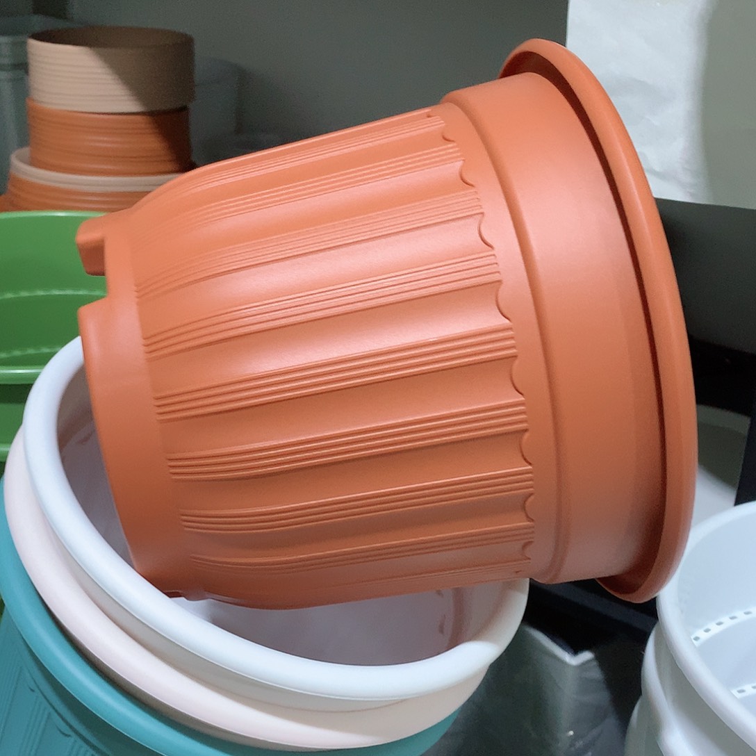 树脂四季口24红5个无托