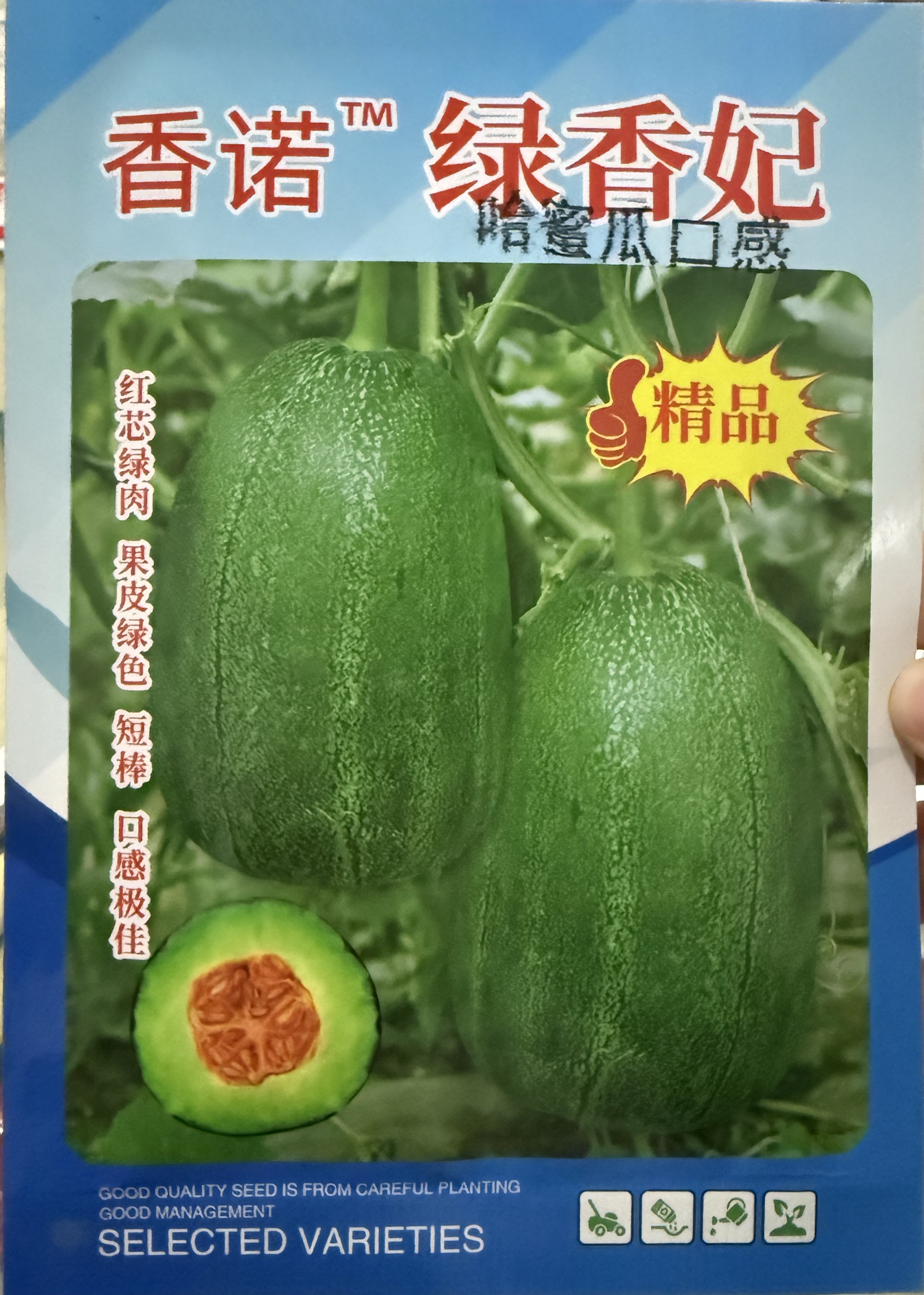 绿香妃高端甜瓜种子——极早熟，产量高，绿肉红瓤酥脆可口，500粒