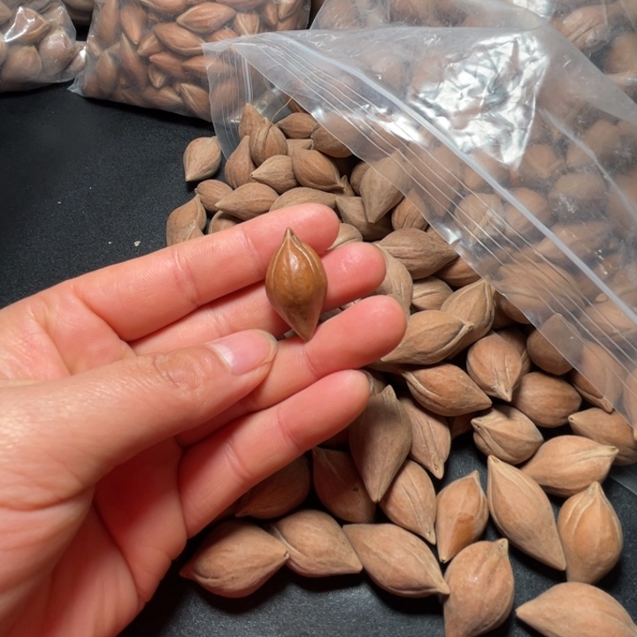 魔***神手串/手链猪牙我是