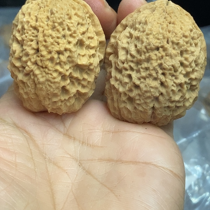 把件文玩核桃云南铁核桃基地68