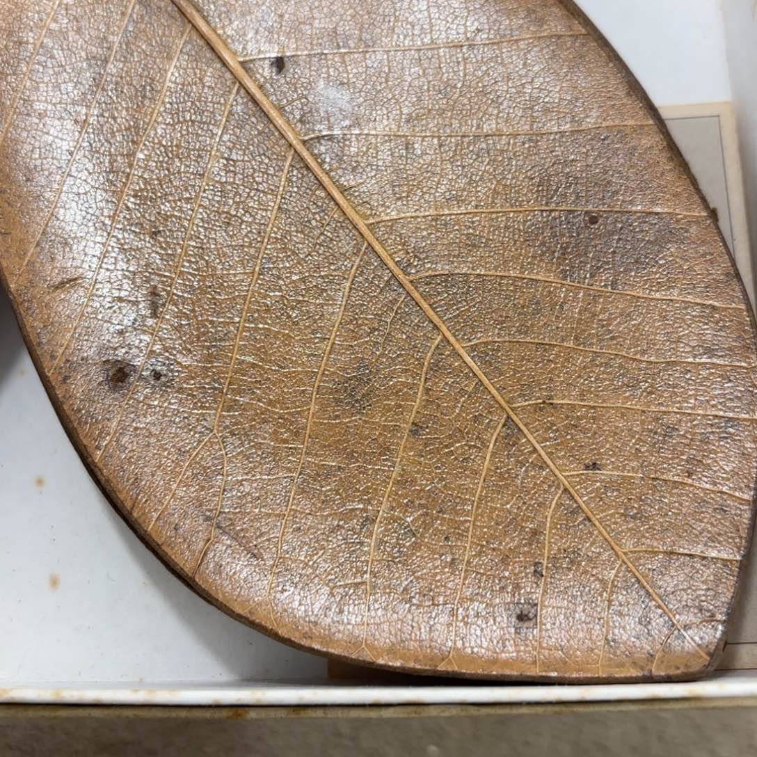 非常好看漂亮的物品 