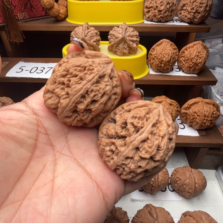 核桃粗筋45全品5037