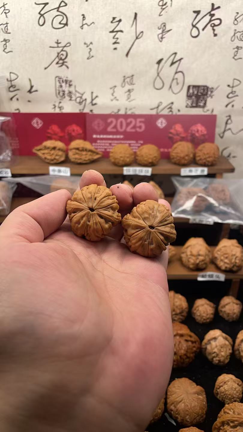 34+全品无修甲骨文