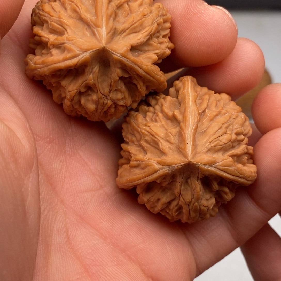 把件文玩核桃38文山三棱