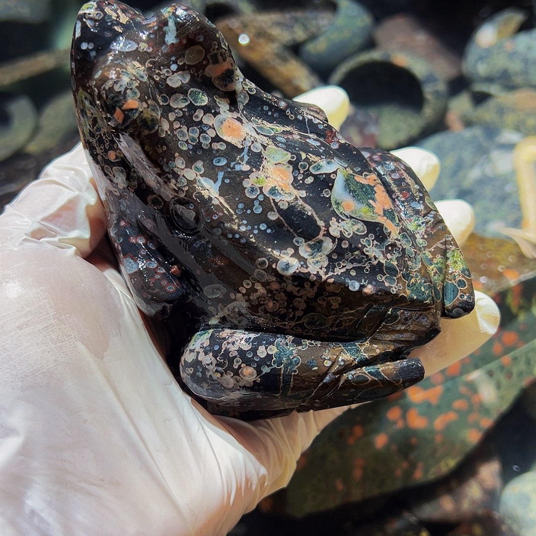 梅花玉鱼缸石茶周边微瑕不退不换