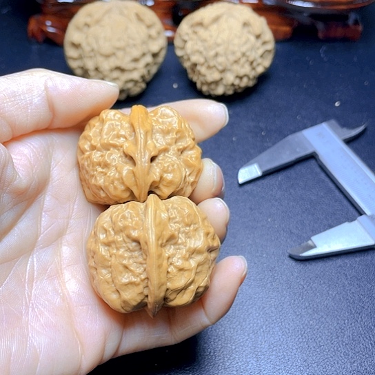 大叶紫檀（黑酸枝木类）洛*神