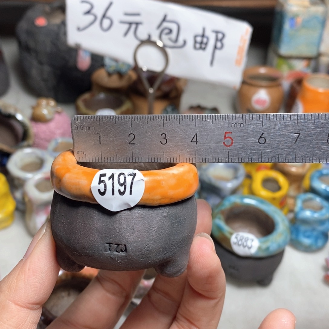 处理的，不退不换的原价28一个