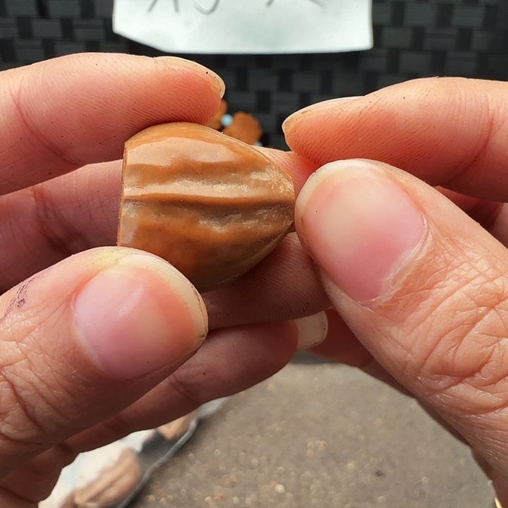 江***森手串/手链橄榄核橄榄