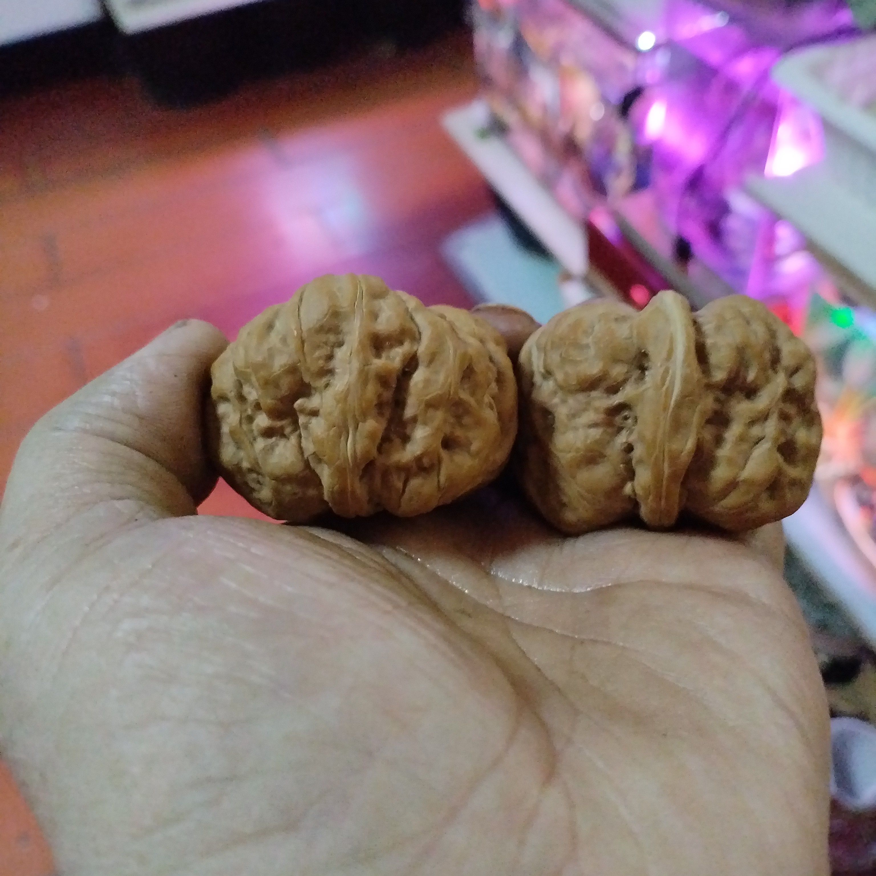 产地直发延庆蛤蟆头文玩核桃金蟾狮子头闷尖有腿有眼开背