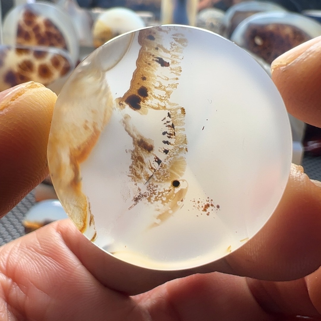 未镶嵌玛瑙/玉髓珠宝奇石