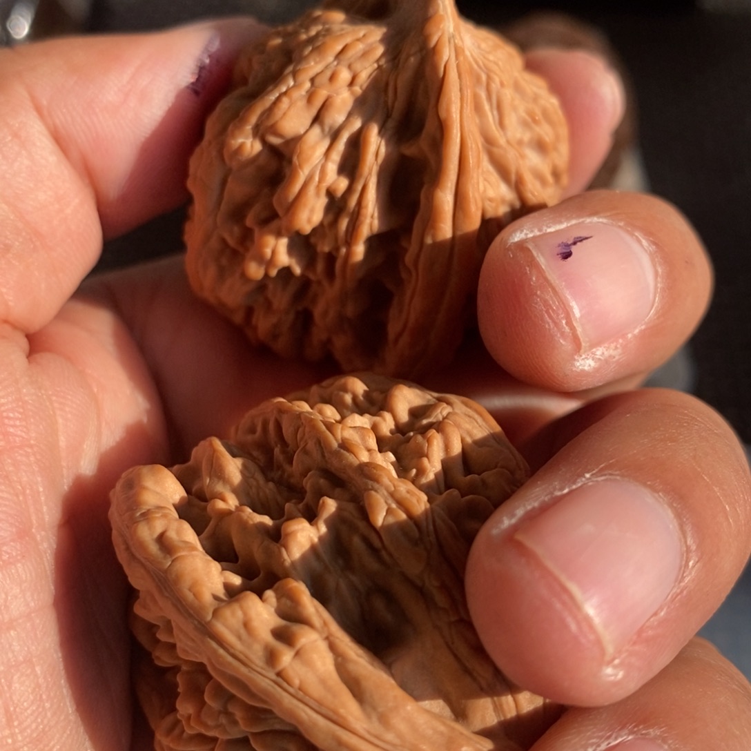 源***泉大叶紫檀（黑酸枝木类）虎头