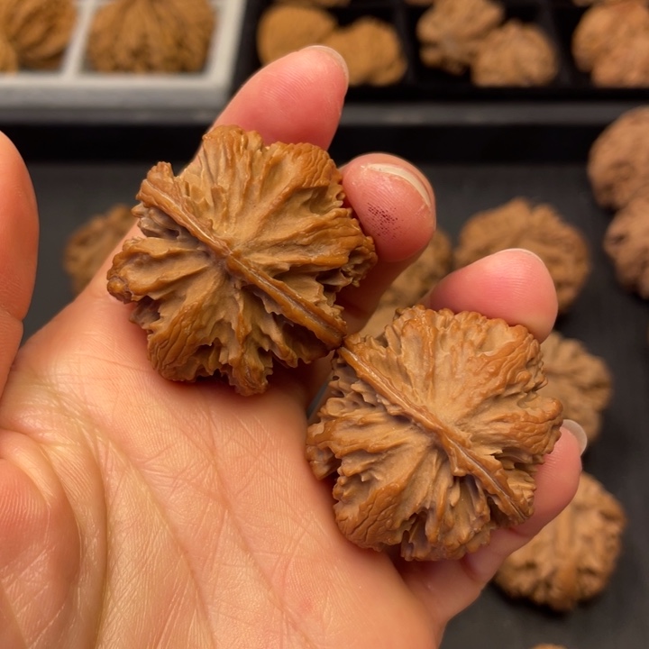 吊坠文玩核桃秦岭以南至