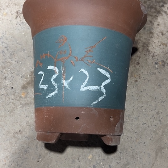 紫砂工艺厂……紫砂工艺厂……