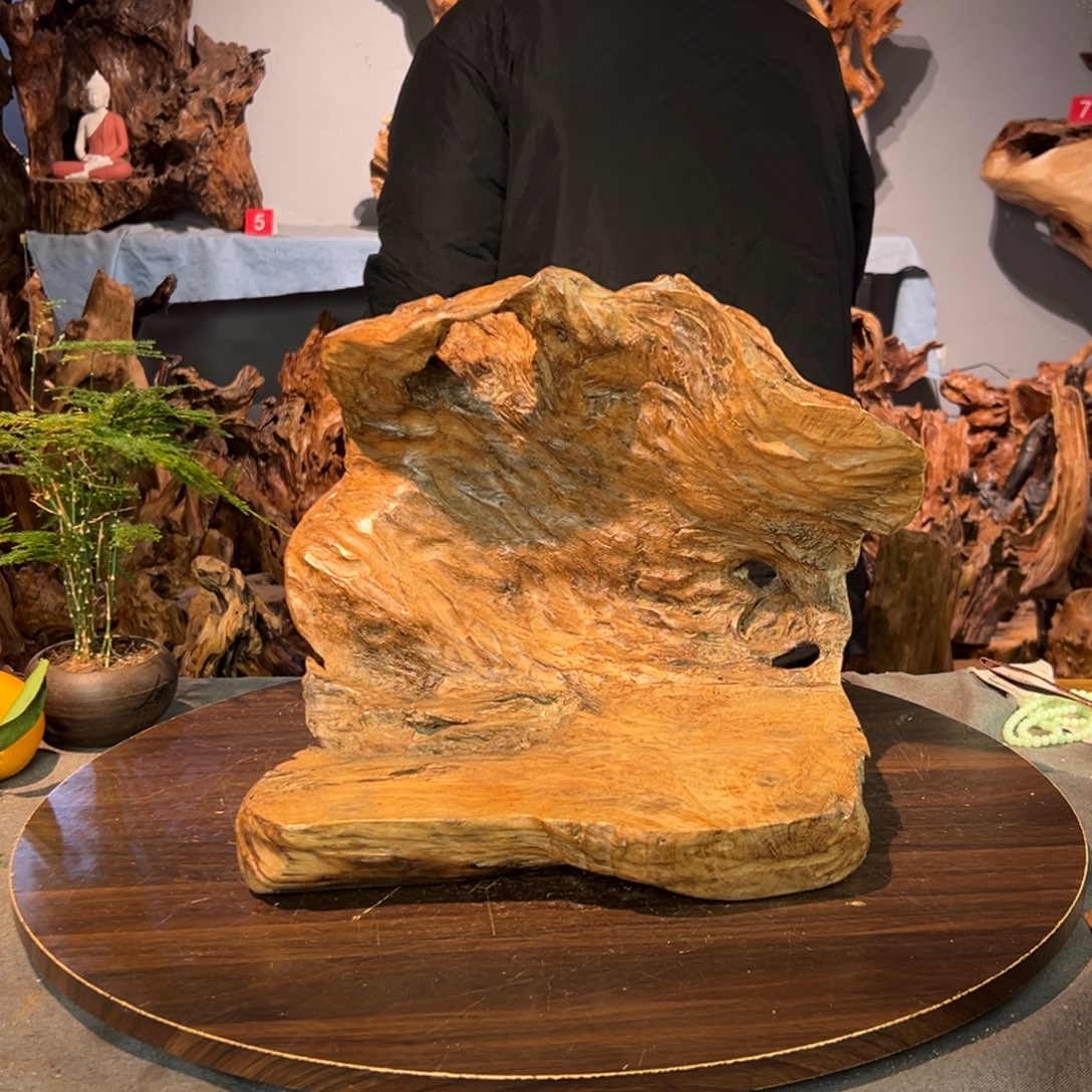 慢***蕗香杉木616aaaaaaaa