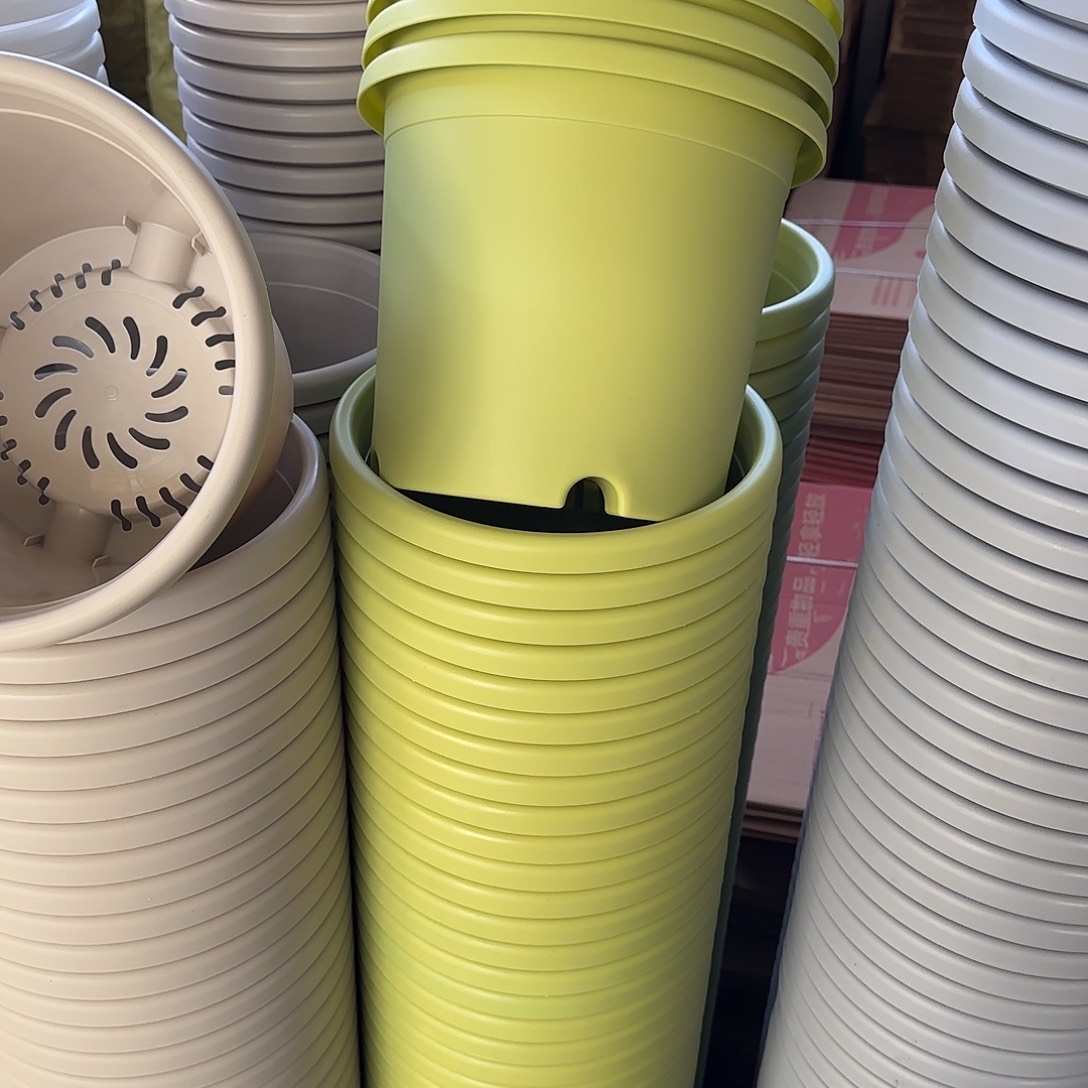 微瑕4号5个无托，果绿