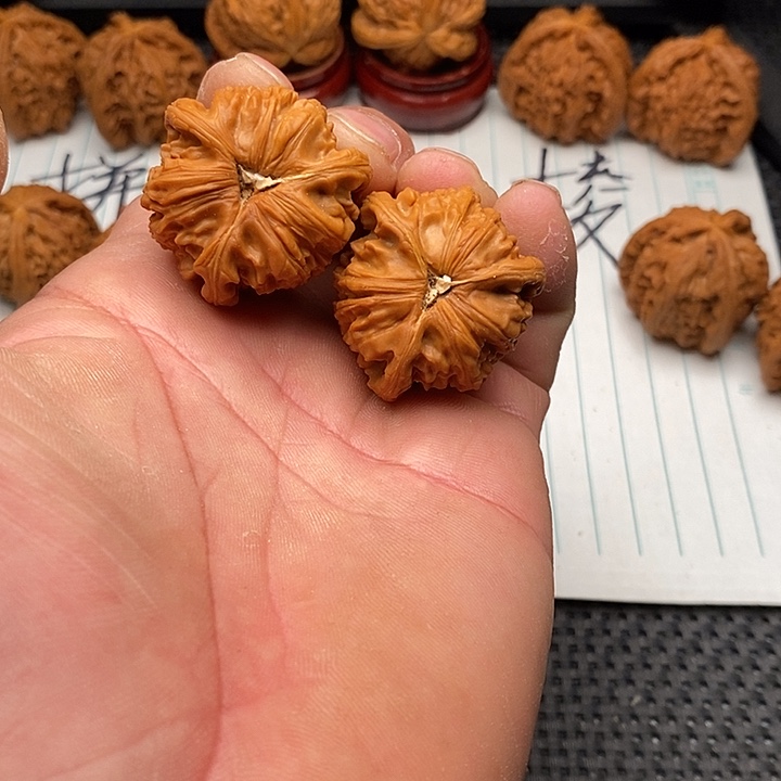 手串/手链核桃练手白狮子10