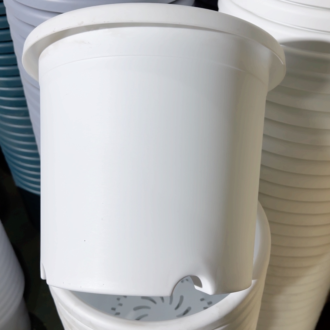 树脂四季5#无拖纯白6个