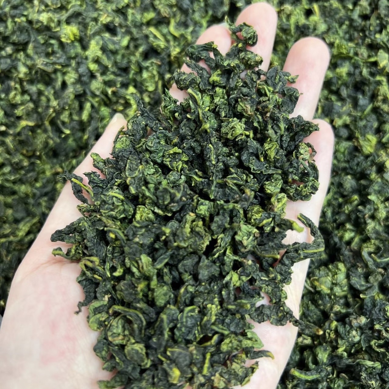 2025新茶安溪铁观音散装兰花香浓香型乌龙茶顺丰包邮退货无忧