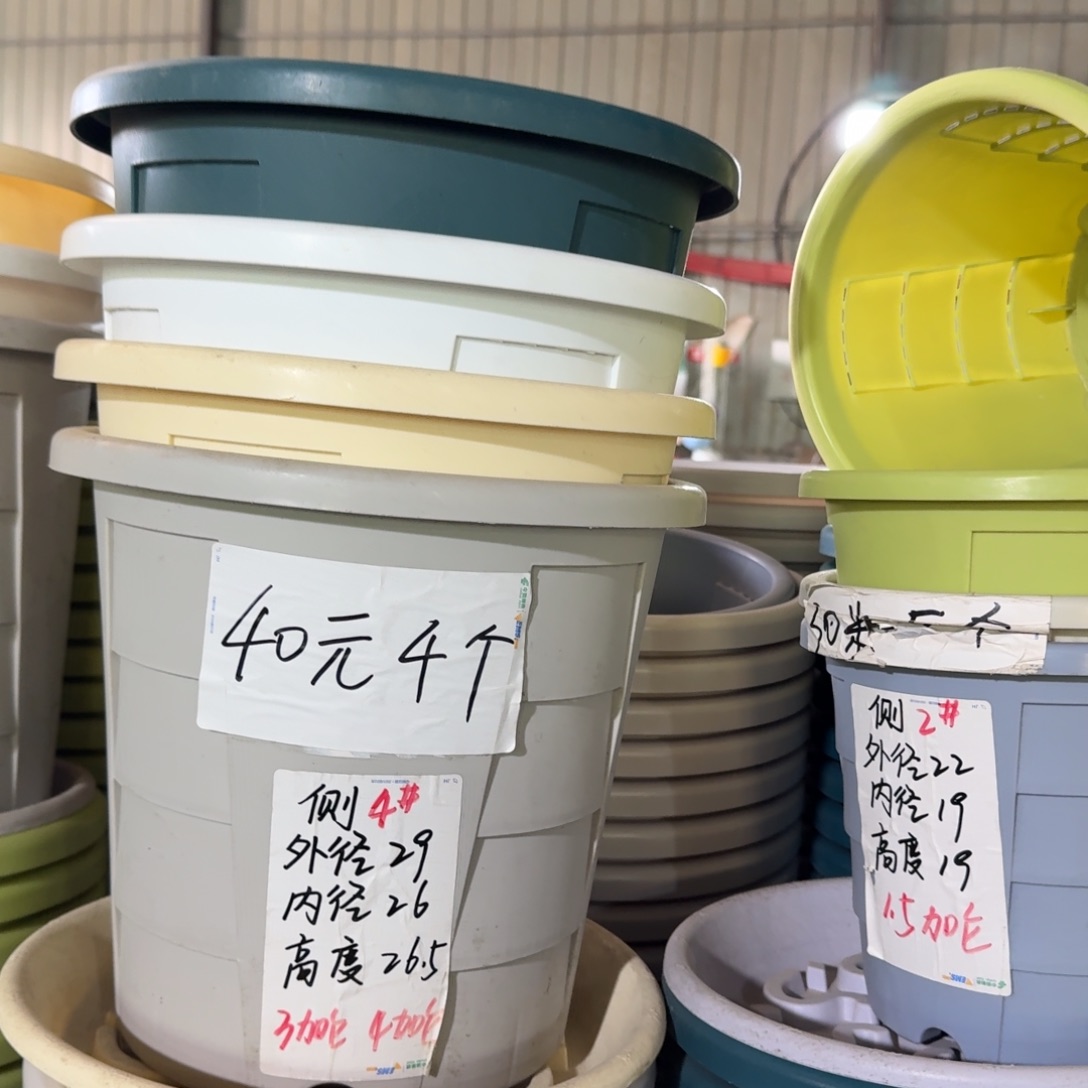 测孔4#口径26无拖灰白 4个