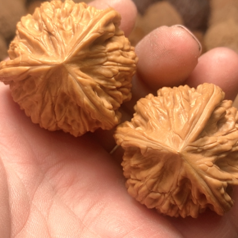 【闪购商品】用****9三棱