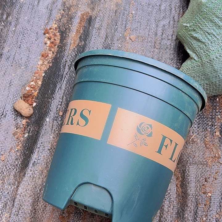 加仑盆口径17.5高18发10个