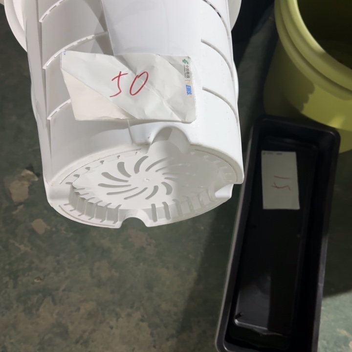 编号是50的50号的花盆
