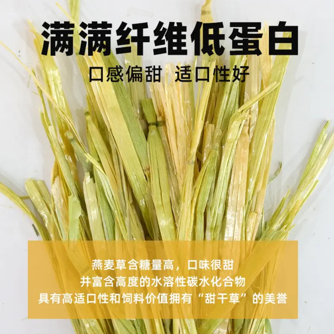 胖圆团晒干精挑澳洲7A级黄金燕麦草