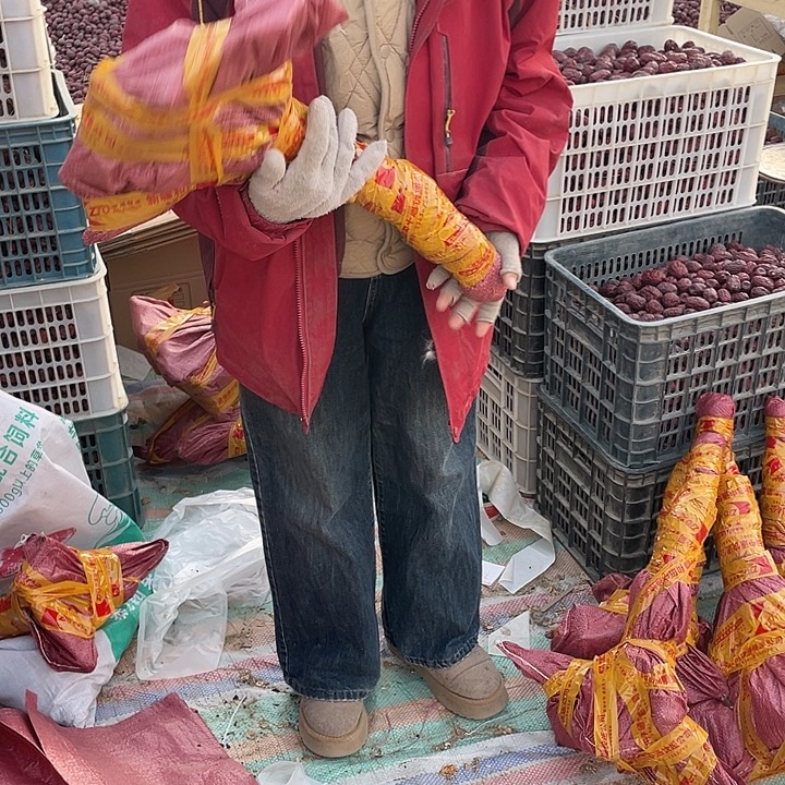 用***4和田红枣树苗一样