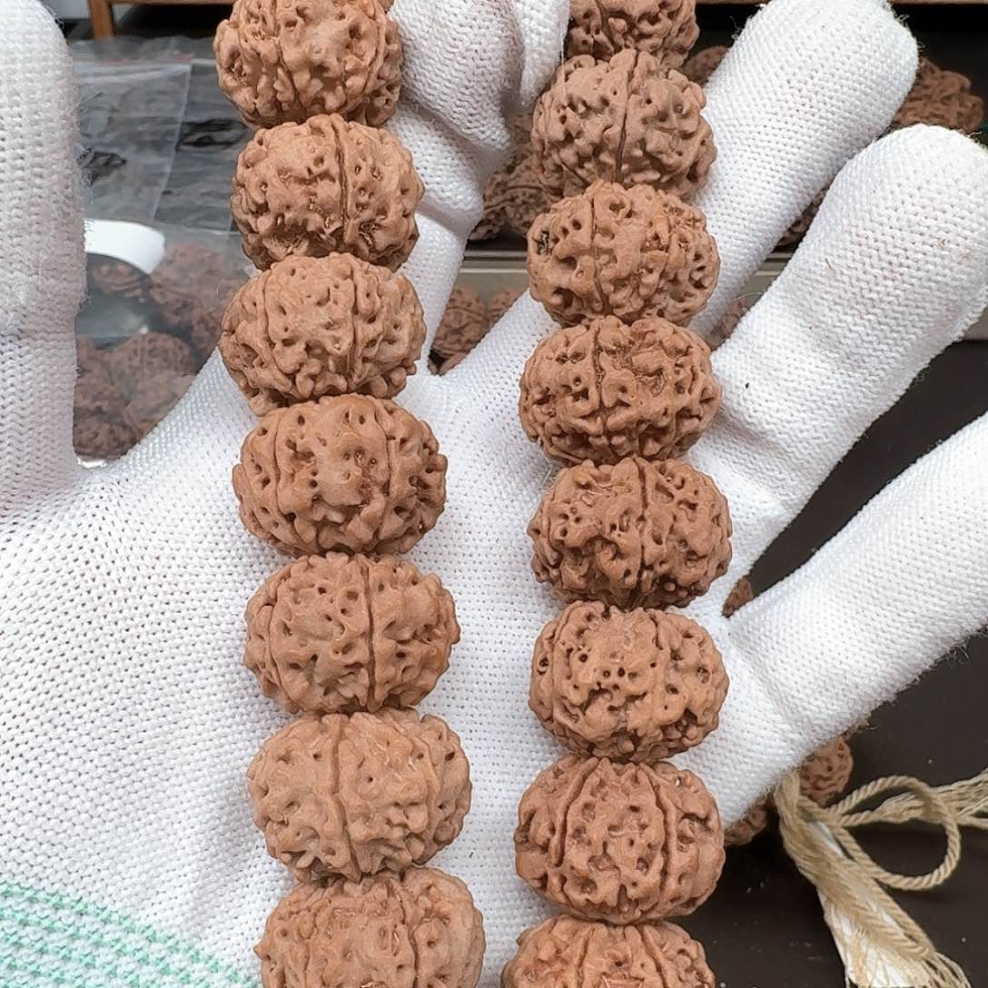 金刚菩提手串22天然纽扣六瓣