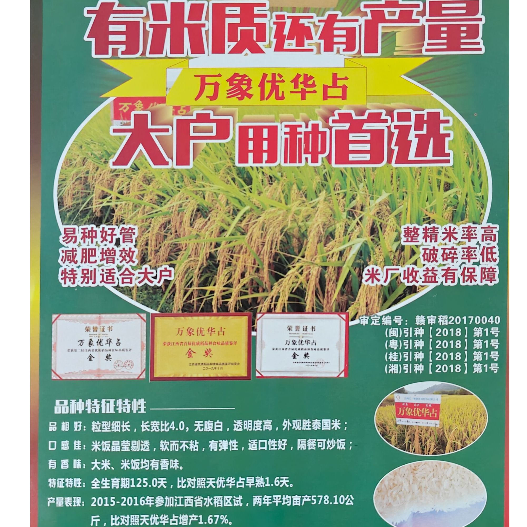 有米质有产量万象优华占大户首选种植株高矮分蘖多米质优连续金奖