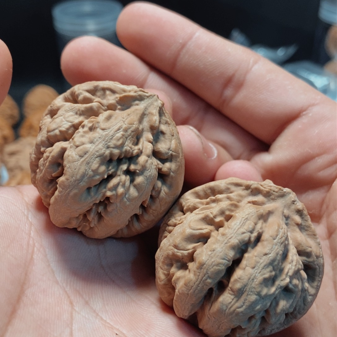 文玩核桃吊坠43全品霸王龙