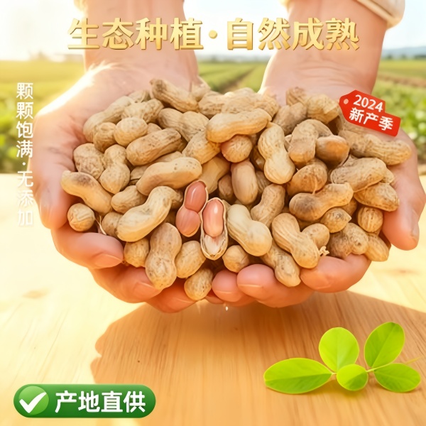 原味柴火炒带壳小珍珠花生香酥可口休闲下酒零食