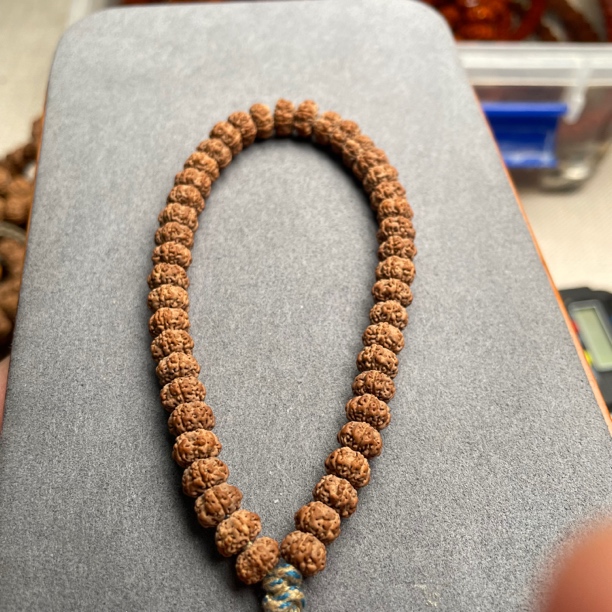 平细7尺金刚菩提一物一图编码2465