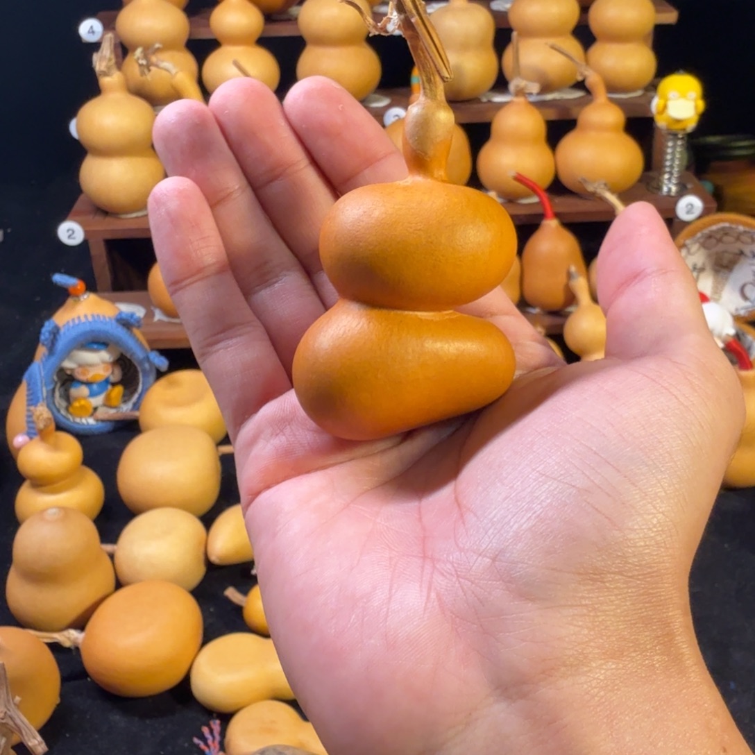 贝***海钱袋钱袋钱袋钱袋