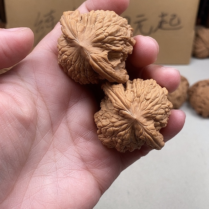 唱***错龙脊菩提吊坠28.28.28.28¥8.28