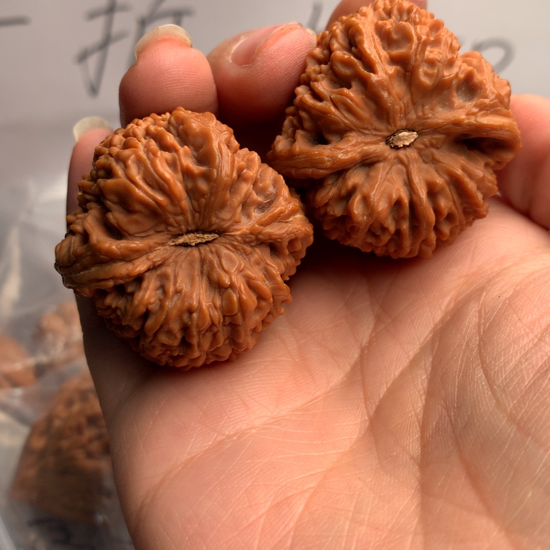 风***云大蒜21件制作工艺原料