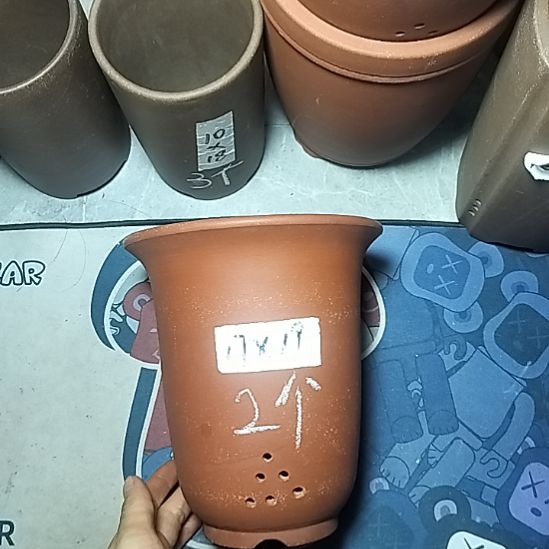 红泥小金钟两个花盆