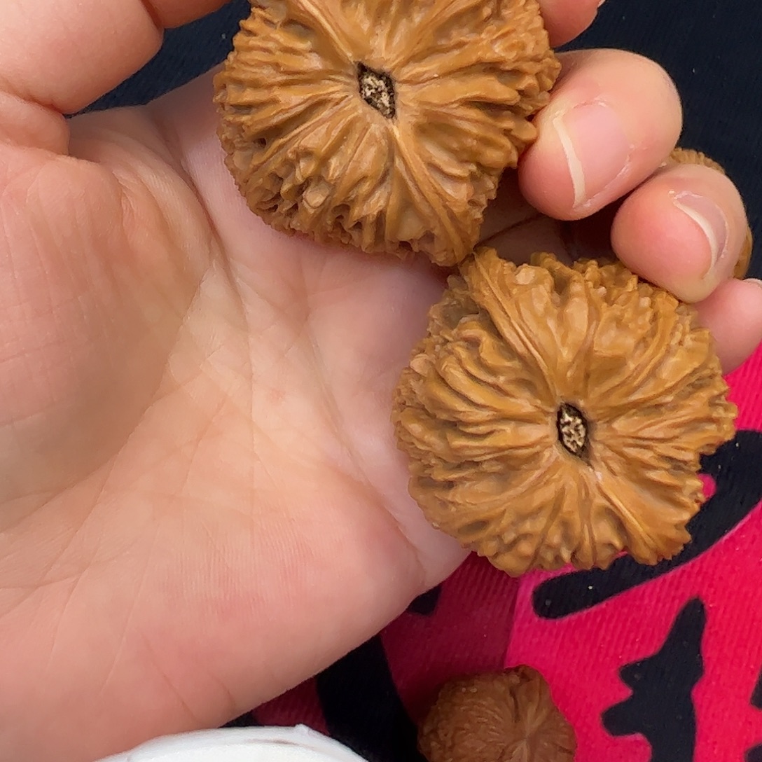 木质43边大南疆石