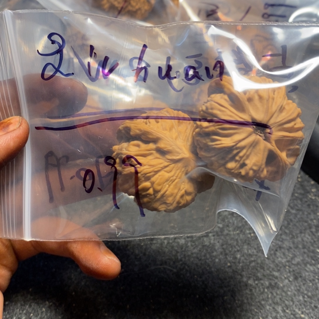 ℒ****文玩核桃吊坠天地