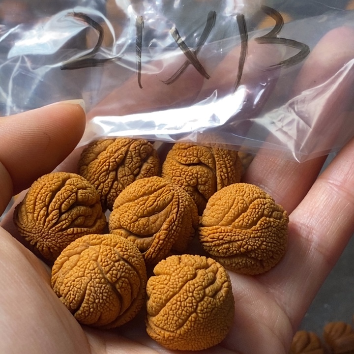 文玩核桃手串秦岭野生龙纹桃核21