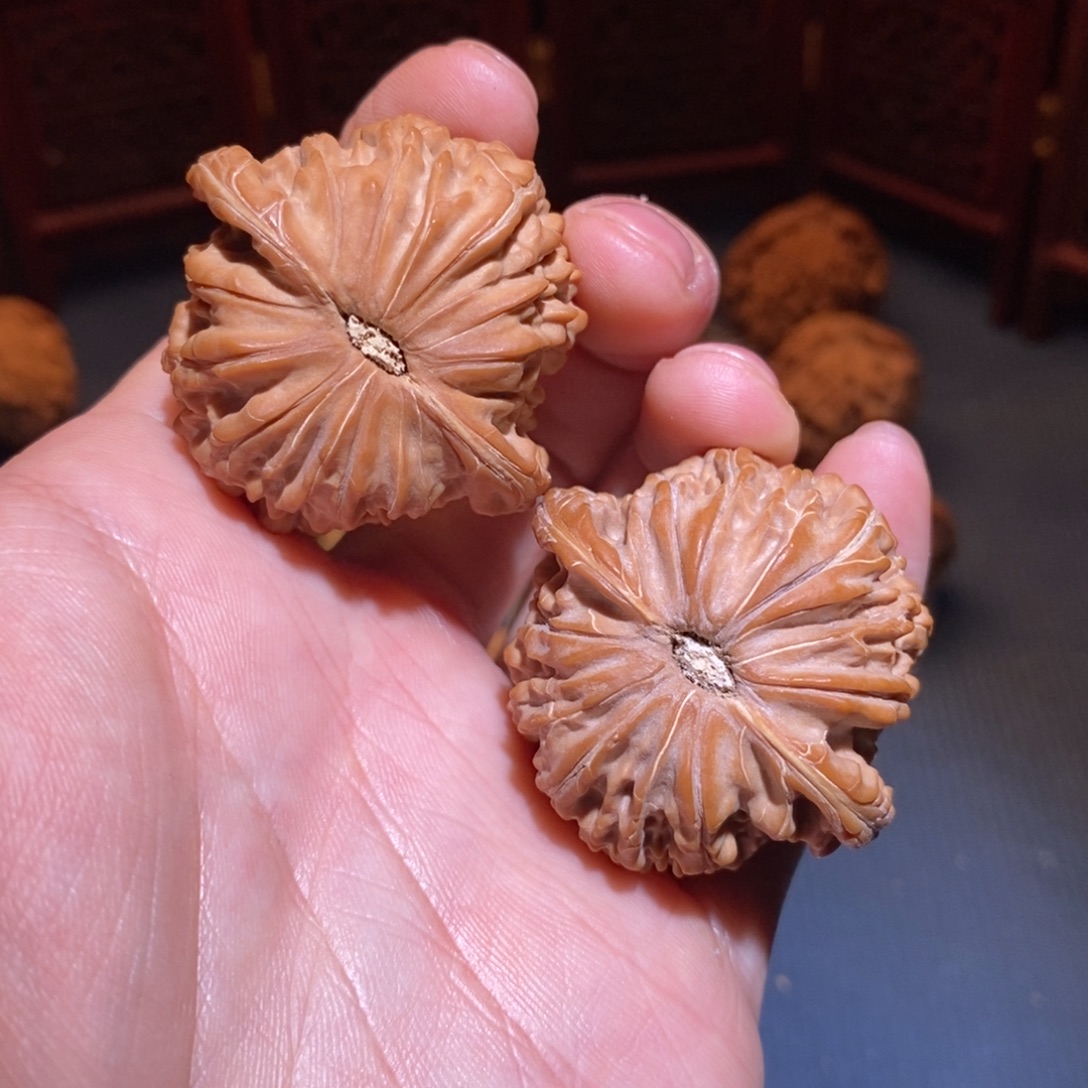 42尺 全品白茬 正磨